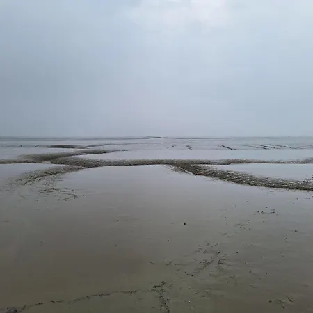 Moewennest 18 بيت للعطل *