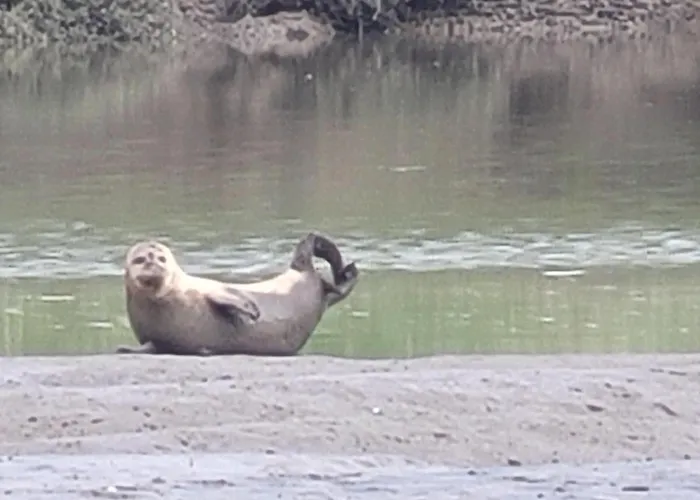 Moewennest 18 Tossens